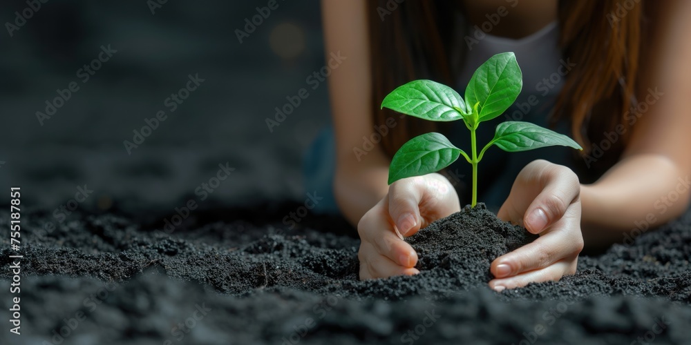 Uma pessoa plantando uma muda de árvore. Uso: conscientização ambiental, reflorestamento, proteção da natureza, sustentabilidade - obrazy, fototapety, plakaty 