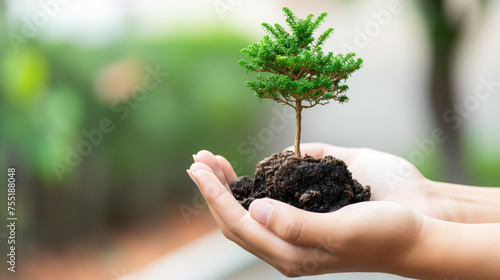 Dia da Terra: Mão segurando uma terra com muda de planta. Uso: conscientização ambiental, reflorestamento, proteção da natureza, sustentabilidade photo