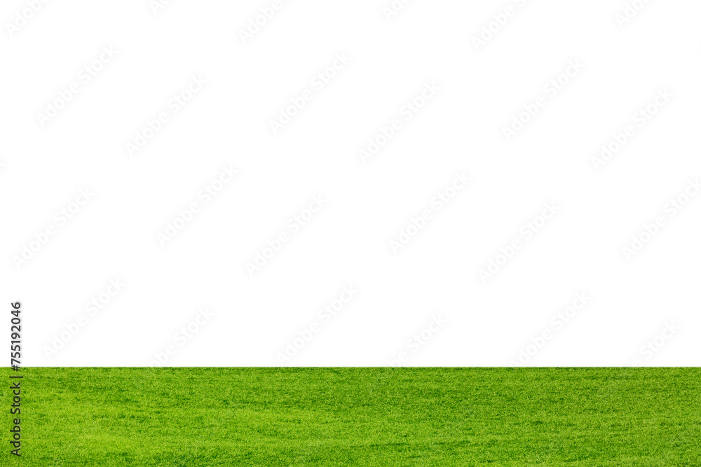 Green grass meadow field over isolated white background