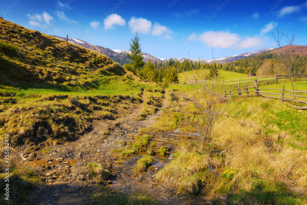 mountainous rural landscape of ukraine with grassy fields behind wooden fence. carpathian countryside scenery in spring on a sunny morning mountainous rural landscape of ukraine with grassy fields behind wooden fence. carpathian countryside scenery in spring on a sunny morning