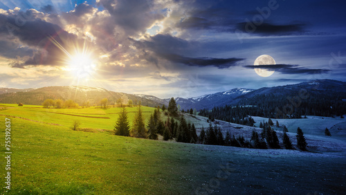 summer landscape with meadow and spruce forest on hills in mountainous area with sun and moon on sky. day and night time change concept at spring equinox. mysterious countryside scenery in the morning