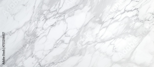 A detailed view of a white marble surface, showcasing the intricate veining and smooth texture. The natural elegance of the marble is highlighted in this close-up shot.