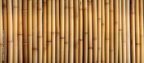 This close up view shows the intricate pattern and texture of a bamboo wall. The individual pieces of bamboo are tightly woven together  creating a visually interesting and natural design.