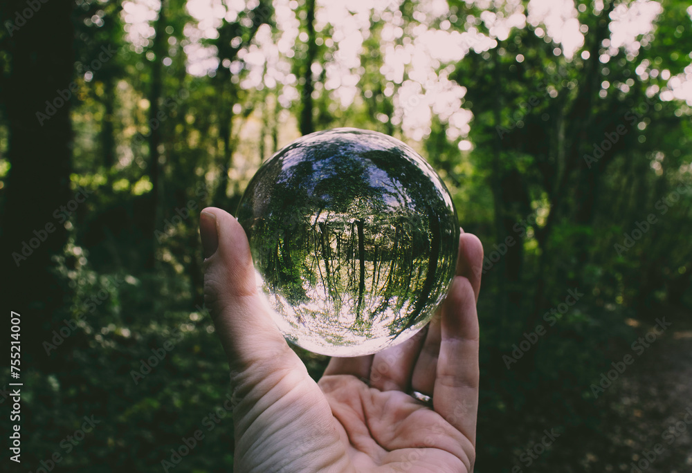 Hand holding a crystal ball in a green forest Hand holding a crystal ball in a green forest