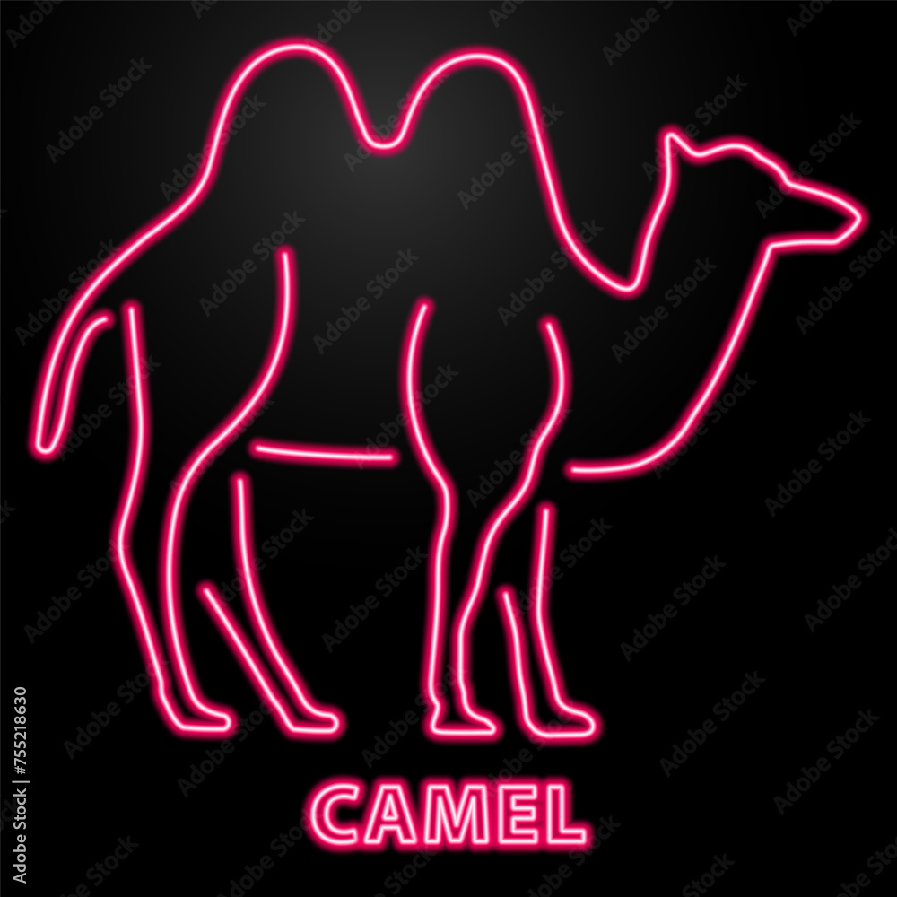 camel neon sign, modern glowing banner design, colorful modern design trend on black background. Vector illustration. camel neon sign, modern glowing banner design, colorful modern design trend on black background. Vector illustration.