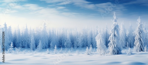 A winter wonderland of a snowy forest with trees covered in snow and ice, under a cloudy sky. The natural landscape looks magical with cumulus clouds and freezing temperatures