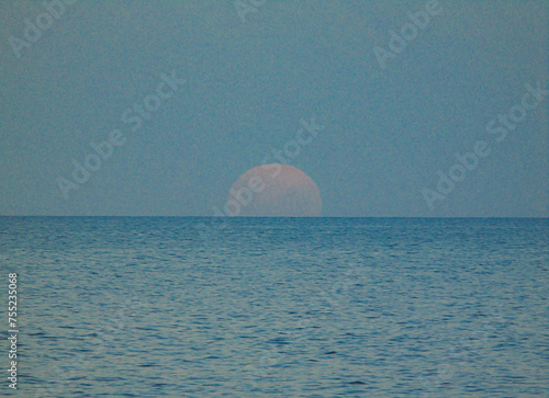 Fototapeta Naklejka Na Ścianę i Meble -  moon over sea