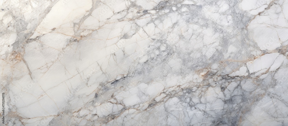 Obraz premium Detailed close-up view of a high-resolution Italian marble slab, showcasing the texture of limestone on the polished surface. The grunge stone texture is visible,