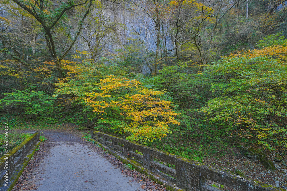 Fototapeta premium 帝釈峡