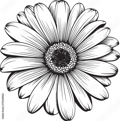 Fototapeta Naklejka Na Ścianę i Meble -  Blossom Bliss Gerbera Daisy Vector Emblem Radiant Bloom Gerbera Daisy Icon Design