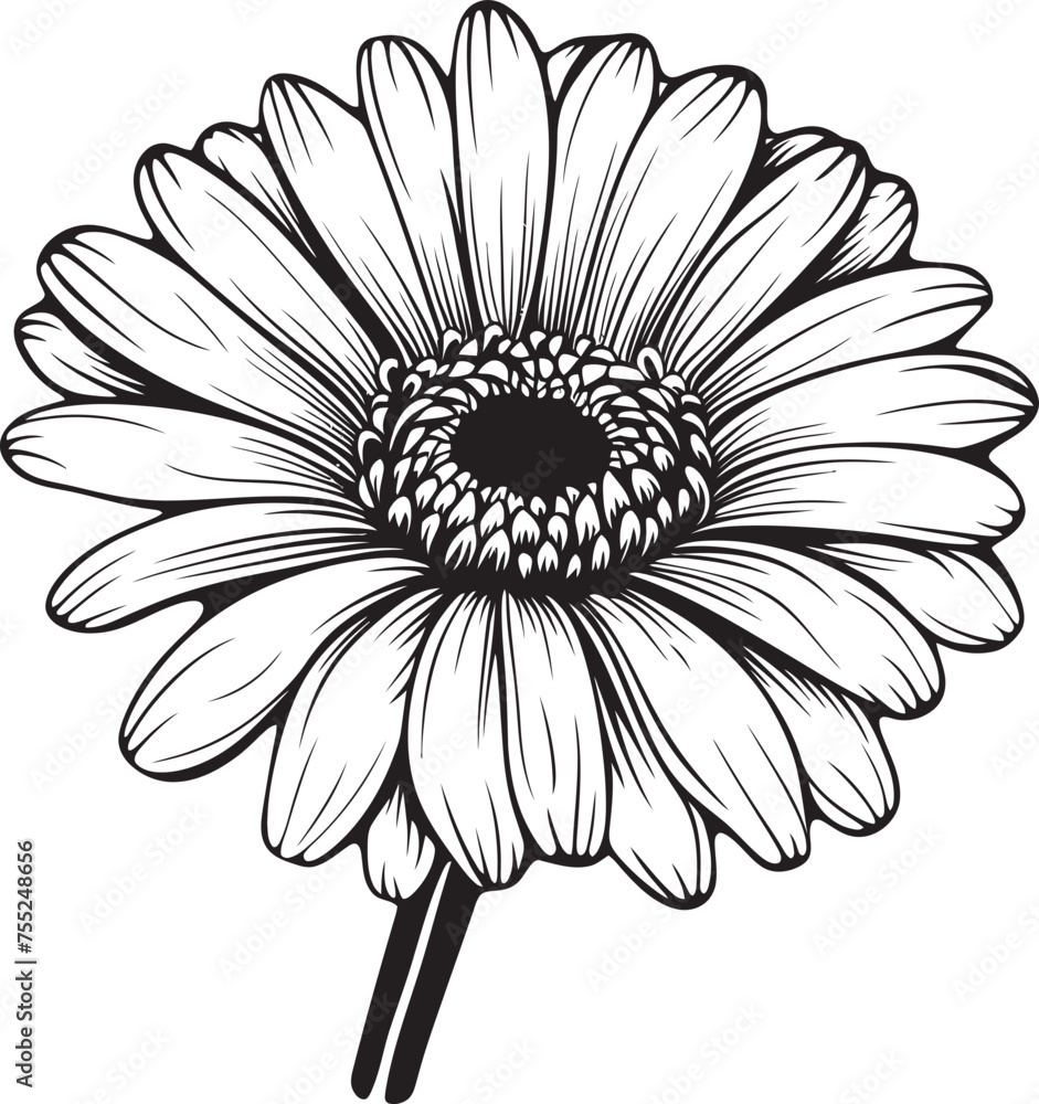 Colorful Charm Gerbera Daisy Icon Design Petals Paradise Gerbera Daisy Emblem Concept Colorful Charm Gerbera Daisy Icon Design Petals Paradise Gerbera Daisy Emblem Concept