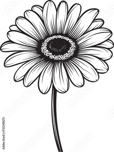 Daisy Dreams Gerbera Daisy Logo Design Bloom Bonanza Gerbera Daisy Vector Emblem