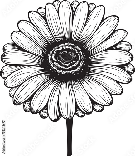 Bloom Bonanza Gerbera Daisy Vector Emblem Vibrant Vitality Gerbera Daisy Icon in Vector