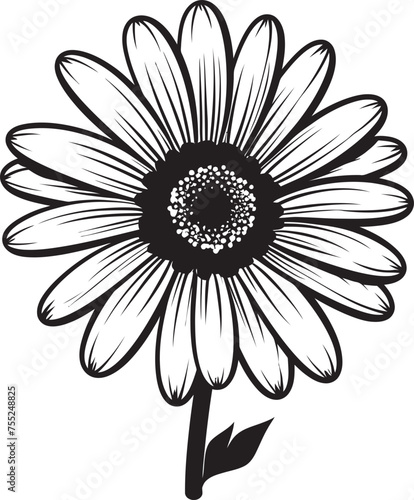 Fototapeta Naklejka Na Ścianę i Meble -  Flower Fusion Gerbera Daisy Vector Emblem Sunny Petals Gerbera Daisy Icon Design