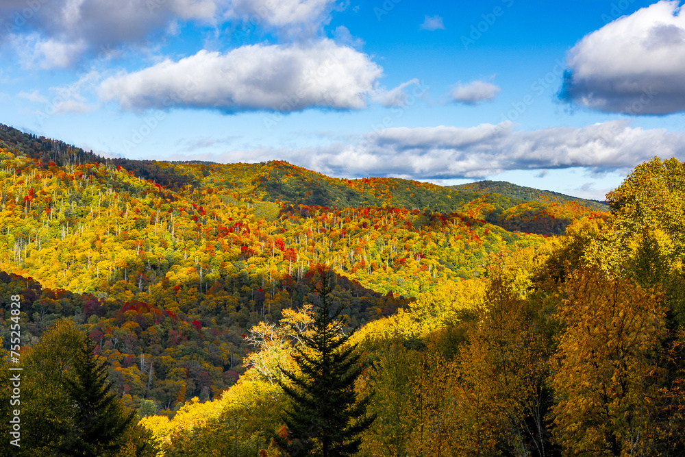 Beautiful autumn views at Great Smoky Mountains National Park.