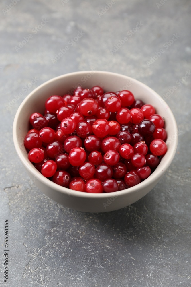 Fresh ripe cranberries in bowl on grey table Fresh ripe cranberries in bowl on grey table