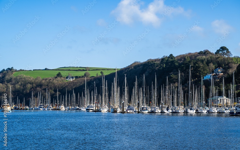 Yachts in Darthaven Marina over River Dart, Devon, England, Europe