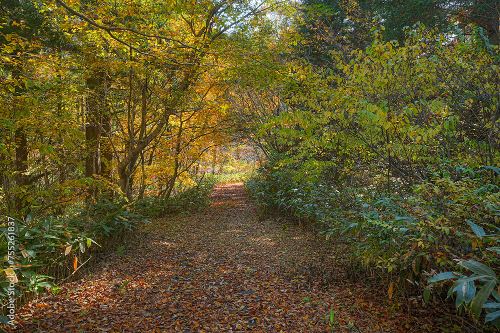 Naklejka premium 赤和瀬渓谷