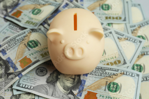 Money exchange. Dollar banknotes and piggy bank, closeup