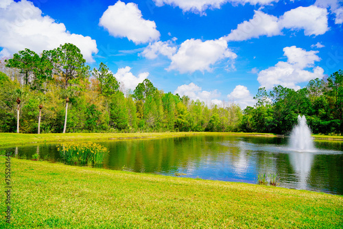 Fototapeta Naklejka Na Ścianę i Meble -  A Florida community pond with water fountain in spring	
