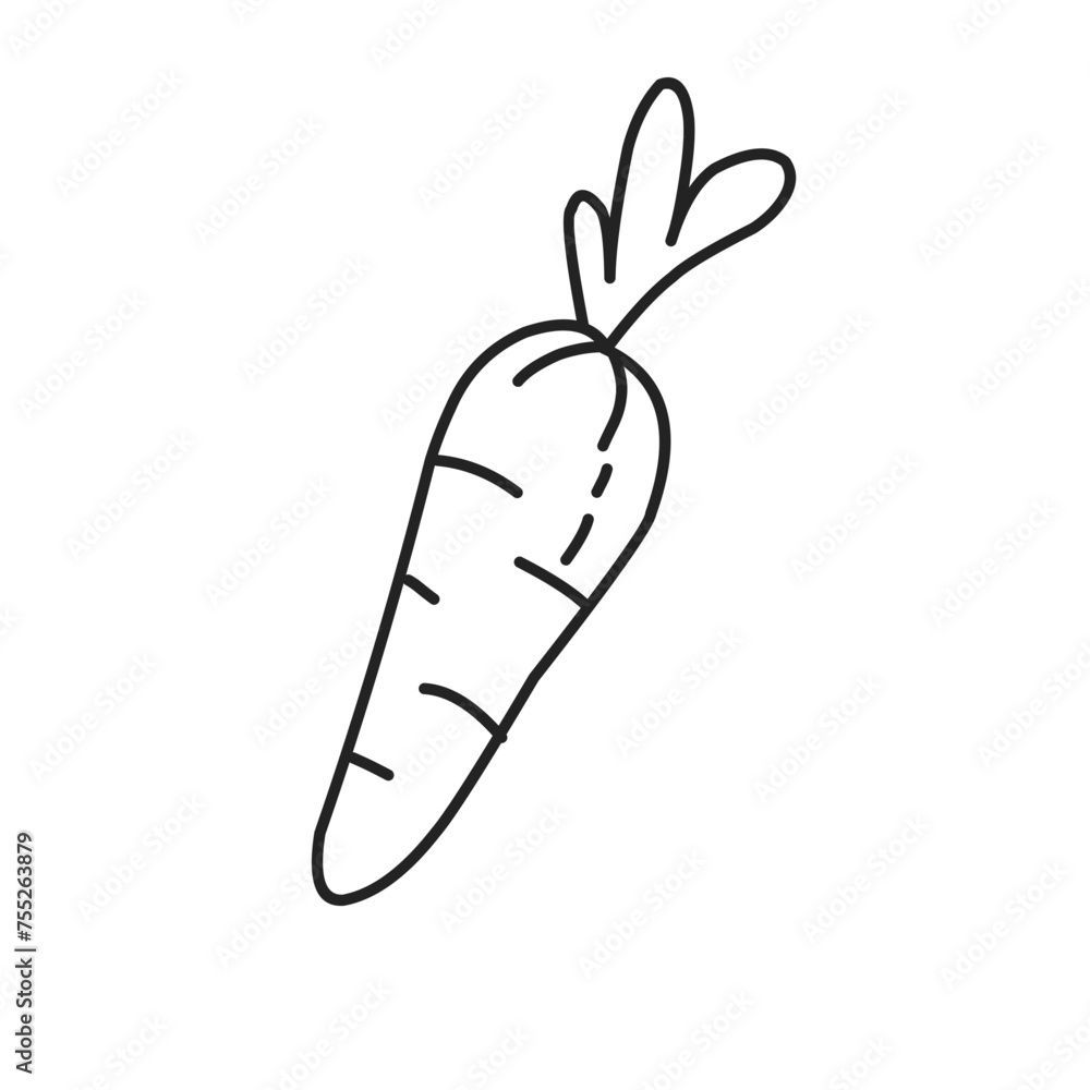 vegetables doodle vector illustration vegetables doodle vector illustration
