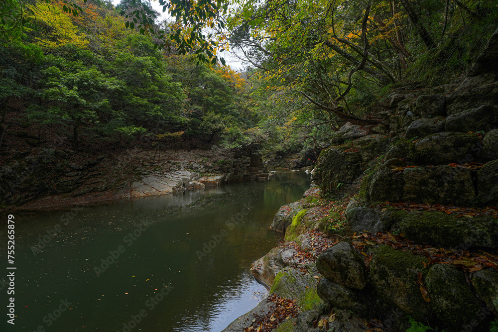 Fototapeta premium 奥津峡