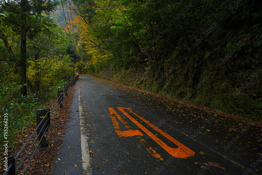 Obraz premium 奥津峡