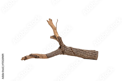 A long, thin branch with a few knots and a few small holes