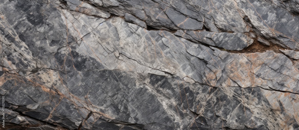 A detailed close-up view of a rock wall featuring a striking black and white pattern. The intricate design and texture of the rocks create a visually captivating display.