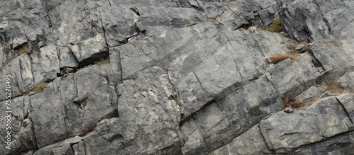 A black and white depiction of various granite rocks, showcasing their unique textures and shapes. The rocks are scattered across the scene,