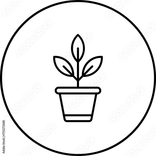 Botanical Icon