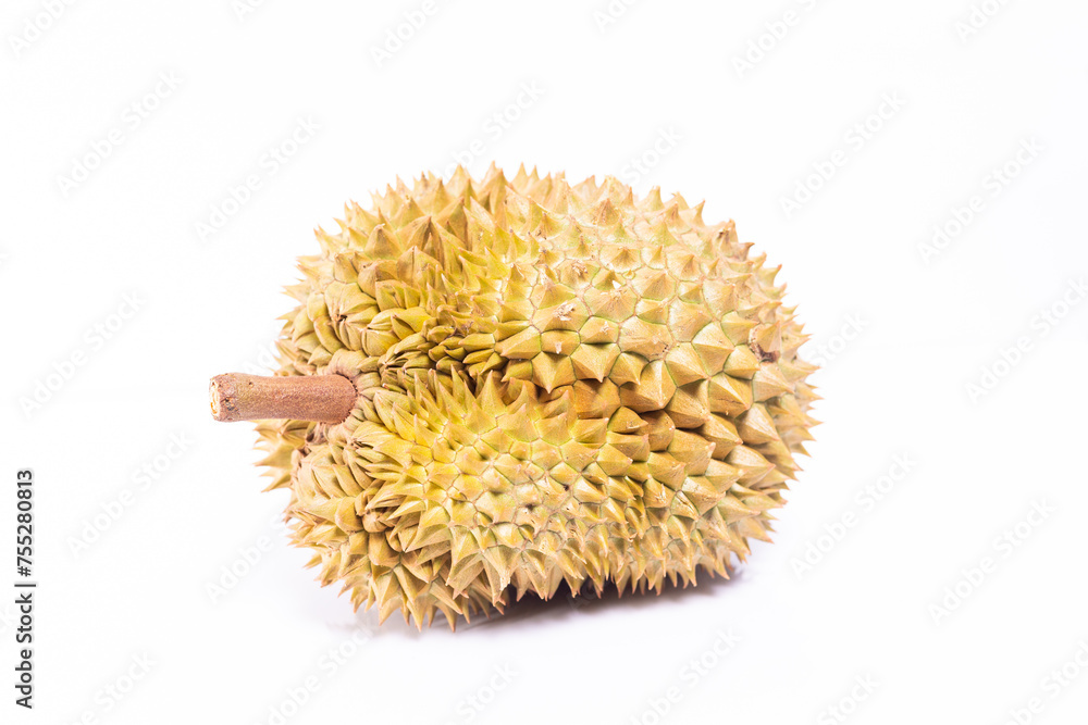 Durian isolates on white background. Durian isolates on white background.