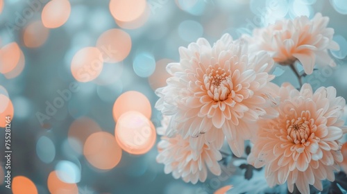 Softly focused chrysanthemums in pastel tones with sparkling bokeh highlights. © tashechka