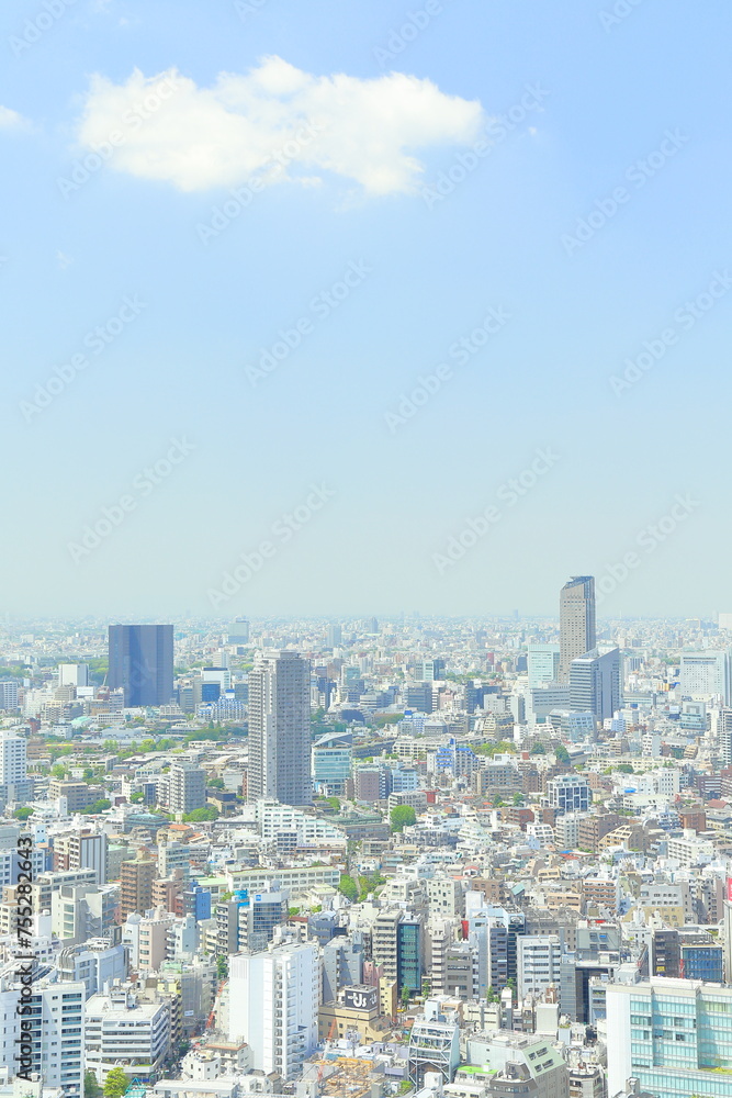 絶景の日本　大都市圏, 企業
