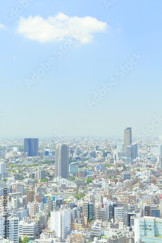 絶景の日本 大都市圏, 企業