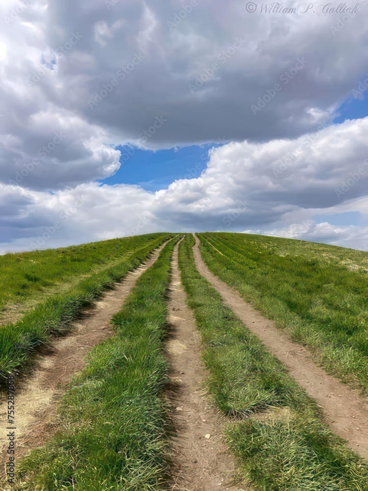Paths Paths