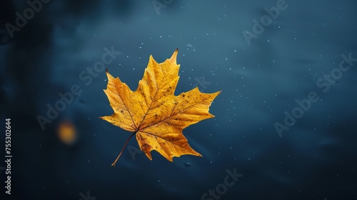 A lone yellow maple leaf gracefully flutters in the air. Contrasted with a soft, light navy backdrop. It combines the essence of autumn and the mesmerizing beauty of autumn.