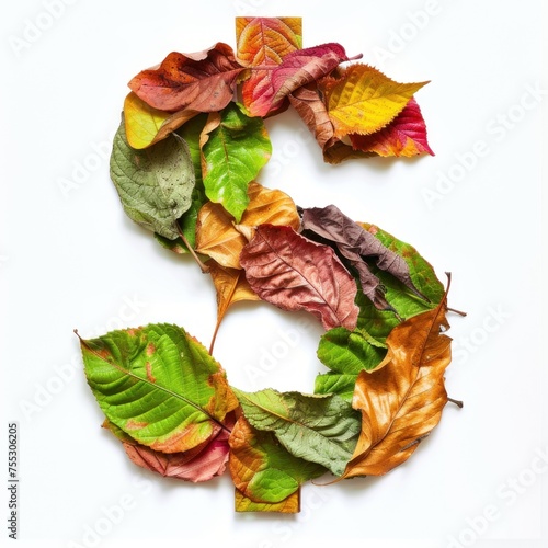 Autumn Affluence - Colorful Maple Leaves Arranged in the Shape of a Dollar Sign on White Background