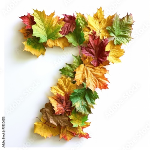 Autumn Leaves Arranged in a Spiraling Number Seven on White Background