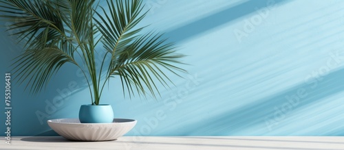 A potted plant is placed on top of a table, with a shadow of a palm tree visible on a blue plaster wall in the background. The setting exudes a luxury summer architecture interior aesthetic with a © TheWaterMeloonProjec