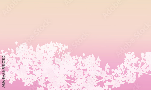                                                                                                                Spring cherry blossom tree background. Beautiful gradient color cherry blossom background. Vector illustration of cherry blossoms.