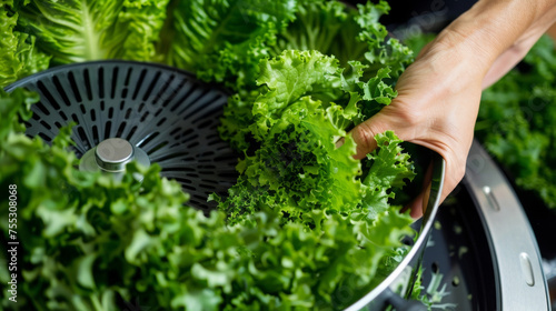 A hand holding the crank of the salad spinner as its being used to dry lettuce. photo