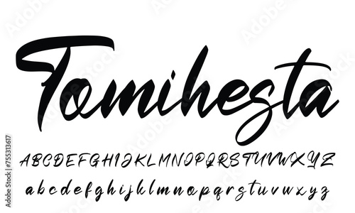 Lettering signature font isolated on grey background. brus style alphabet. Vector logo letters.