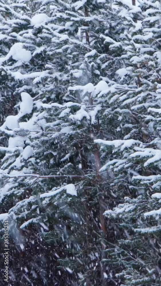 Heavy snowfall in a snowy forest, large flakes of snow are falling. A snowy winter day. Vertical video for shorts. Heavy snowfall in a snowy forest, large flakes of snow are falling. A snowy winter day. Vertical video for shorts.