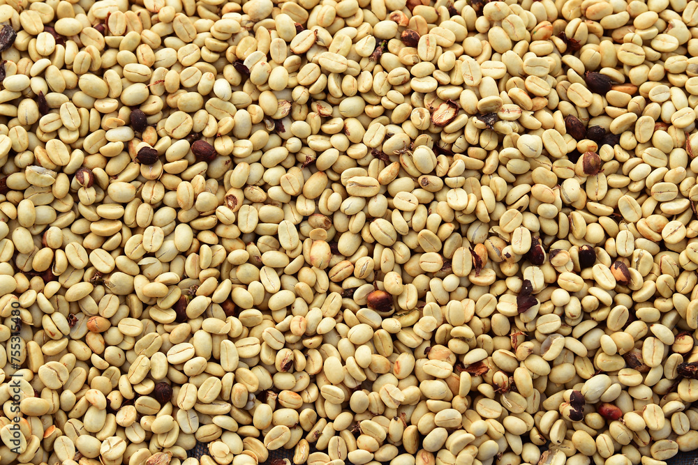 Close up of coffee beans for background Close up of coffee beans for background