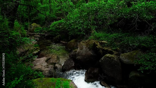 Waterfall in the Mountains Among the Jungle photo