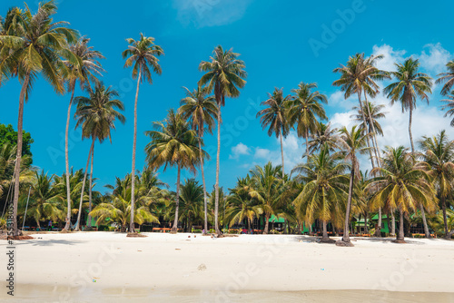 Beach and coconut trees on the island © artrachen