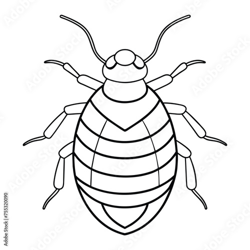 Bedbug illustration coloring page for kids