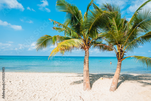 Beach and coconut trees on a tropical island