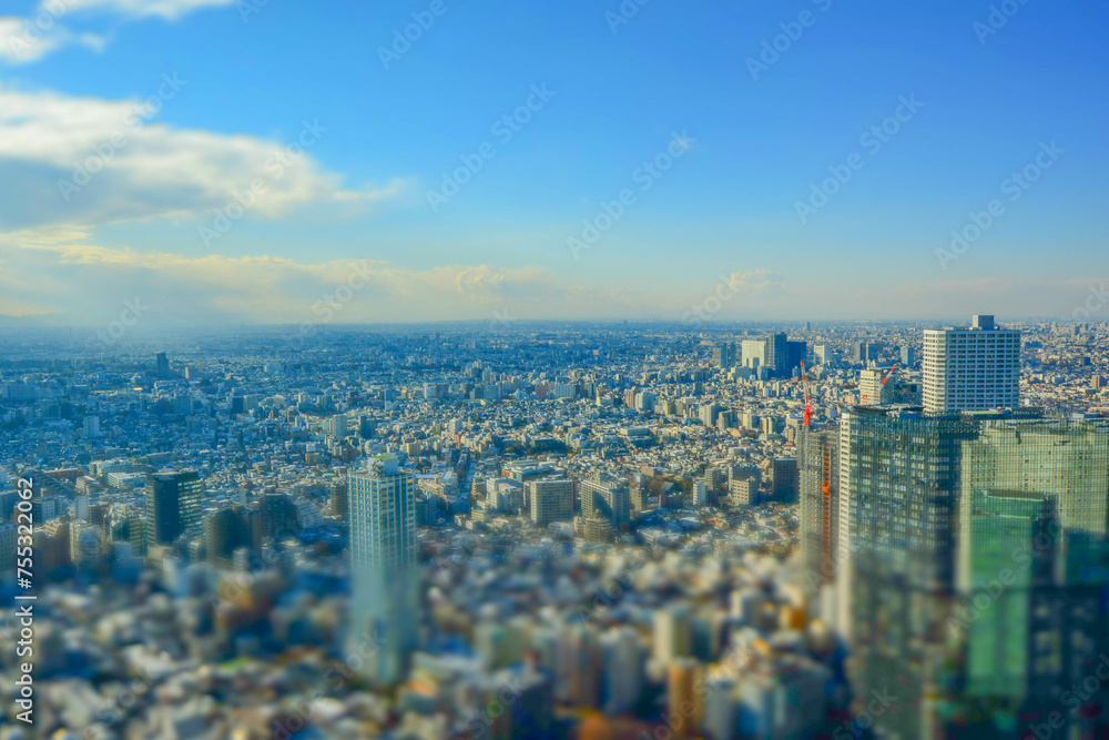 Obraz premium 東京、新宿の街を空から眺める